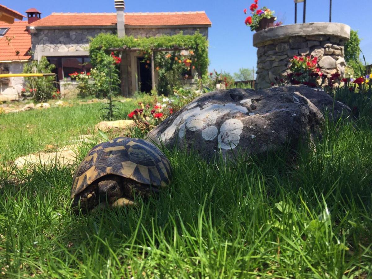 Kuca Za Odmor Joko I Jeka Villa Bogatic Exterior photo